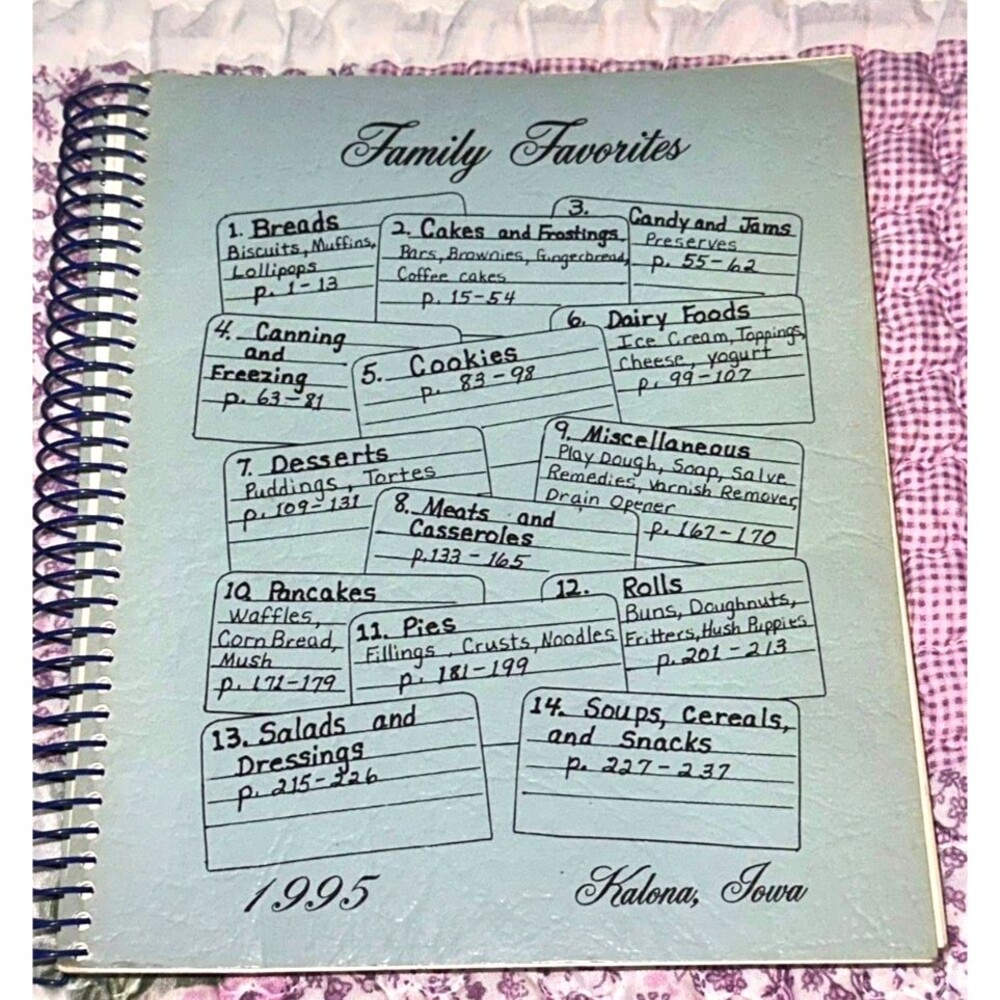 Vtg Cookbook 1995 Family Favorites Kalona Iowa Old Order Amish